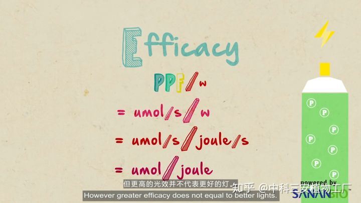 PPFW