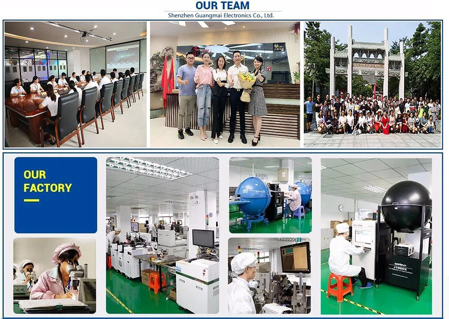 OUR TEAM -Web